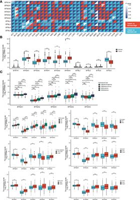 Comprehensive Analysis of the Prognostic Value and Immune Infiltration of Butyrophilin Subfamily 2/3 (BTN2/3) Members in Pan-Glioma